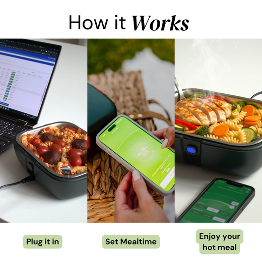 HeatsBox STYLE+ Electric Lunchbox